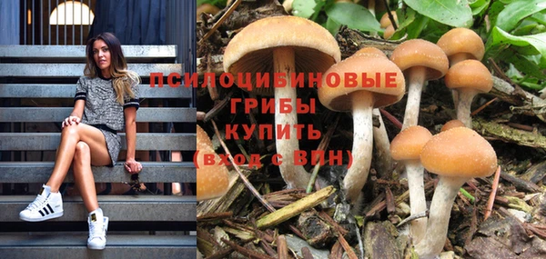 бошки Тихвин