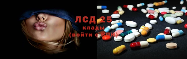 spice Аркадак