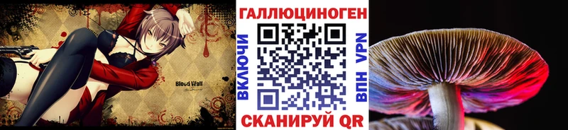 купить закладку  Копейск  Псилоцибиновые грибы мухоморы 